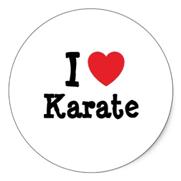 karate-yorum-4