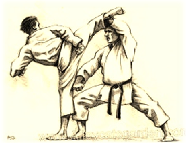 Karate niçin tek çatı altında olmasın?