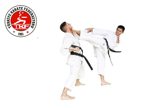 Karate’de 1. ve 2. Kademe Antrenör kursu Eylül’de…