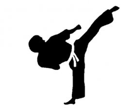Taekwondo Tarih 