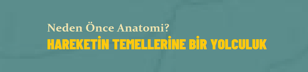 NEDEN ÖNCE ANATOMİ? ‘HAREKETİN TEMELLERİNE BİR YOLCULUK’