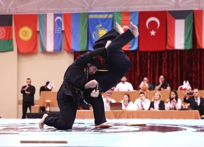 Hüseyin Yabir’in dokuz yıllık çalışmasının ürünü olan Bagatur, 2017 yılında eski Türk mücadele sanatları Amarok, Turon, Aba Güreşi, Kuşak Güreşi ve Alpagut incelenerek sistematik bir yapıya kavuşturuldu.